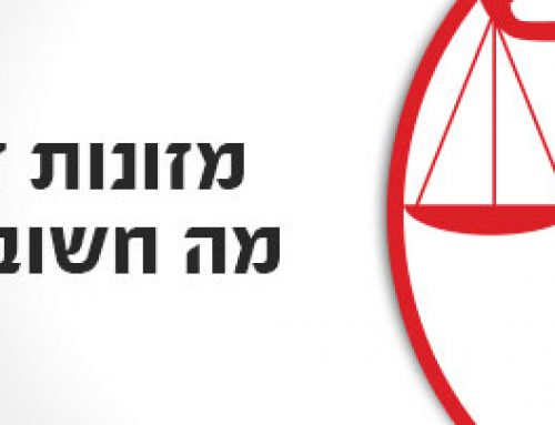 מזונות זמניים – מה חשוב לדעת?